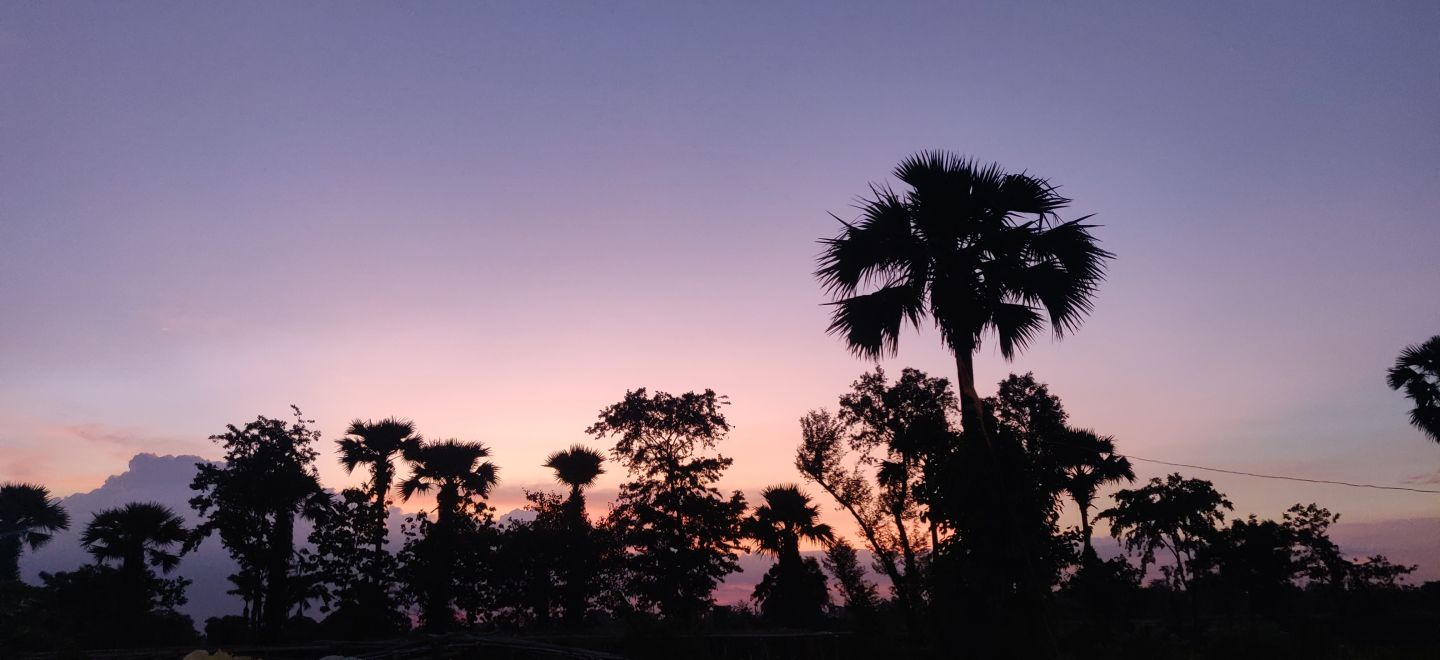 Sunset over the fields at Maatisa Agroforest in Banka